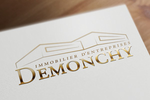 Création Logo : Groupe Demonchy