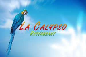 Création Site internet : Restaurant La Calypso